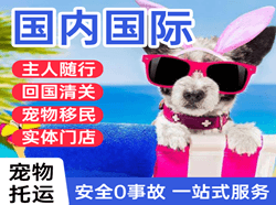 富蕴可可托海航空邮寄国际宠物托运 【国